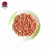 Chinese New Crop Peanuts shandong