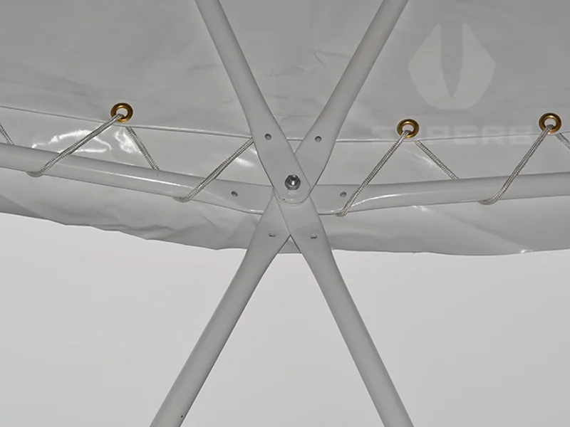 geodesic dome tent.JPG