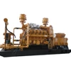 CE ISO Certificated Mini Power Renewable Energy Resources 20-300KW Biogas Generator