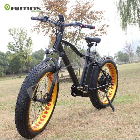 two wheel electric bike