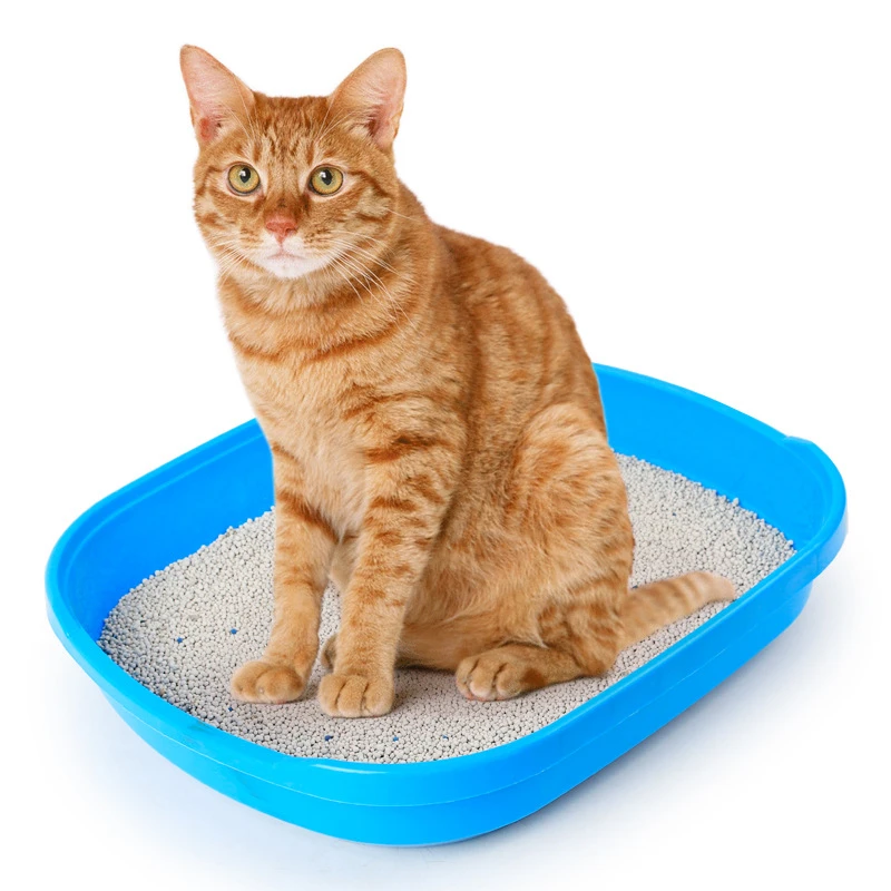 super clumping cat litter /bentonite cat sand newly developed