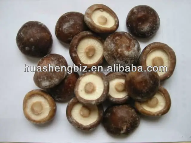 shiitake mushroom.jpg