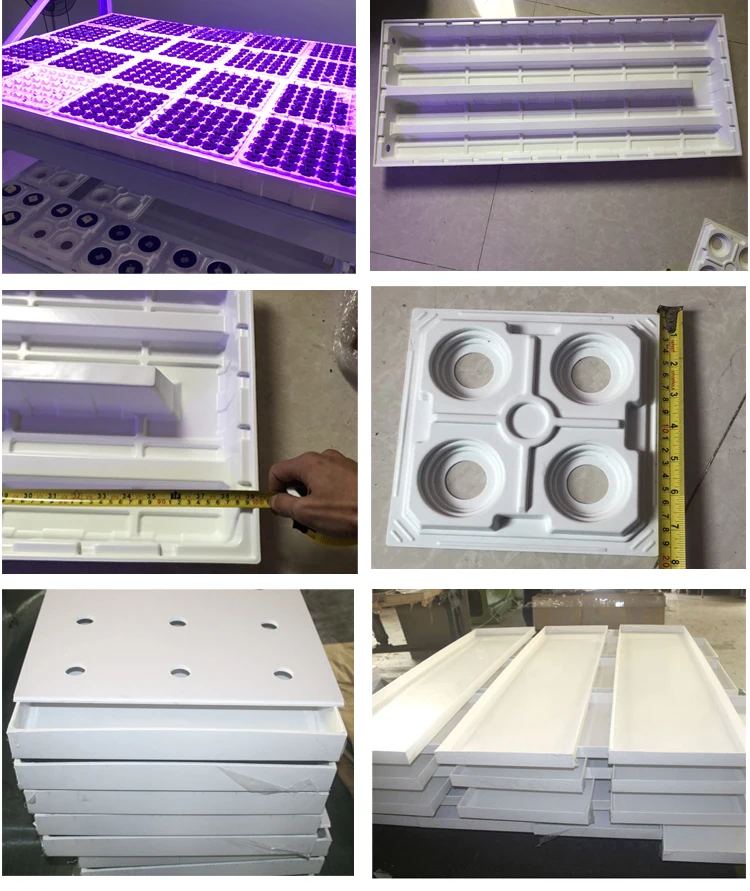seed tray zuhe