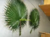 SJH121725 artificial leaf /artificial christmas leaf/ Artificial fan palm leaves