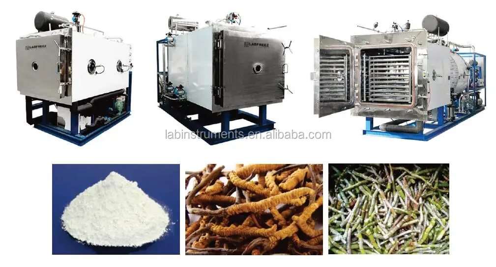 Production type food freeze dryer machine