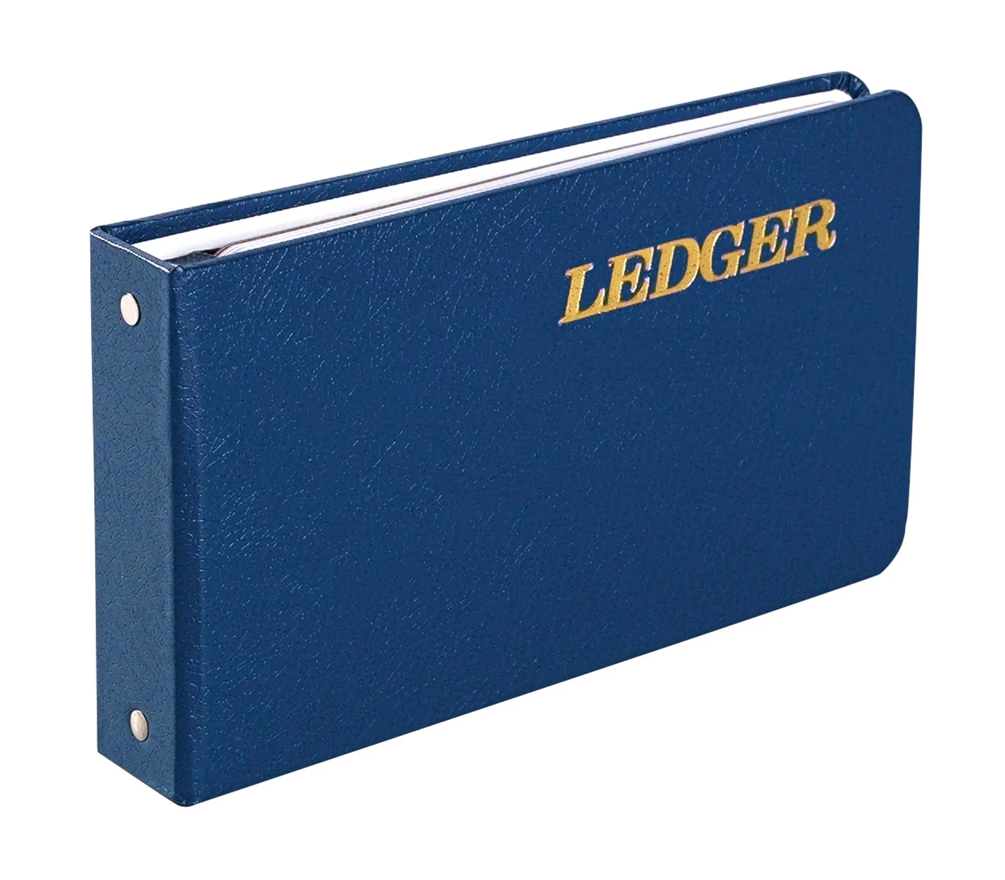 Buy Wilson Jones Ring Ledger Outfit Bookkeeping System With Ring