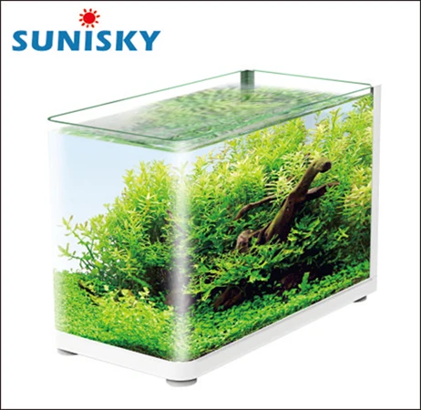 aquarium equipment online