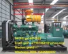 REAL Engine genset runs on HYDROGEN H2 gas