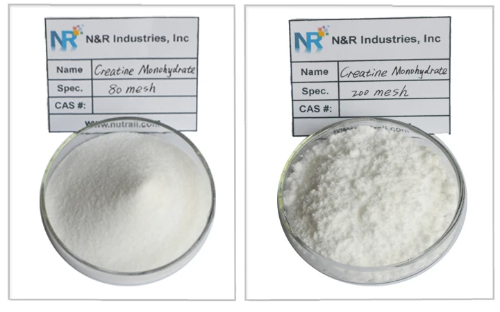 creatine supplement.jpg