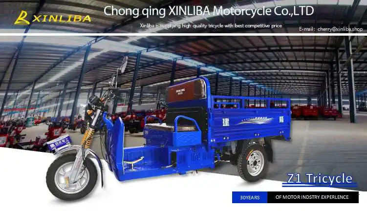 Hot sale cheapest small 100cc tricycle for sale