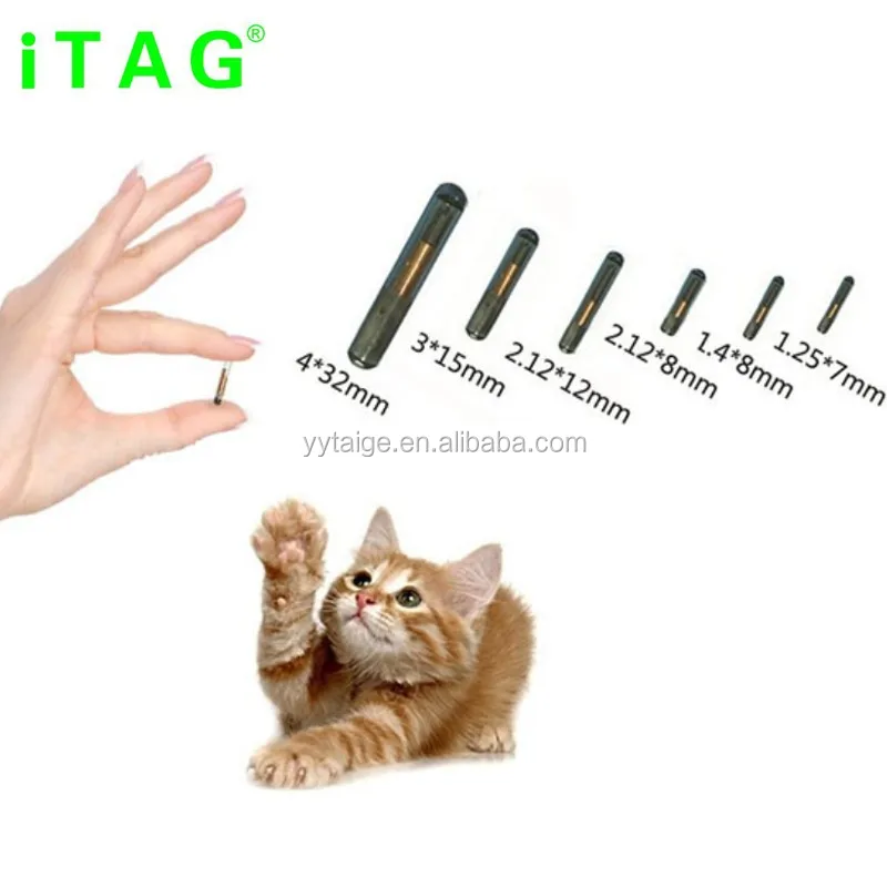 Rfid Animal Id Microchip Implant Fish / Cat / Dog / Cattle Buy Rfid