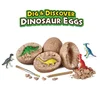 Dinosaur Eggs Discover&Dig Toy Archaeology Excavate Dinosaur Model Explore Discover Bones Assemble Science Toy For Children