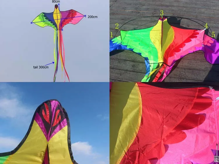 color bird kite1.jpg