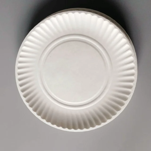 cheap paper plates for parties