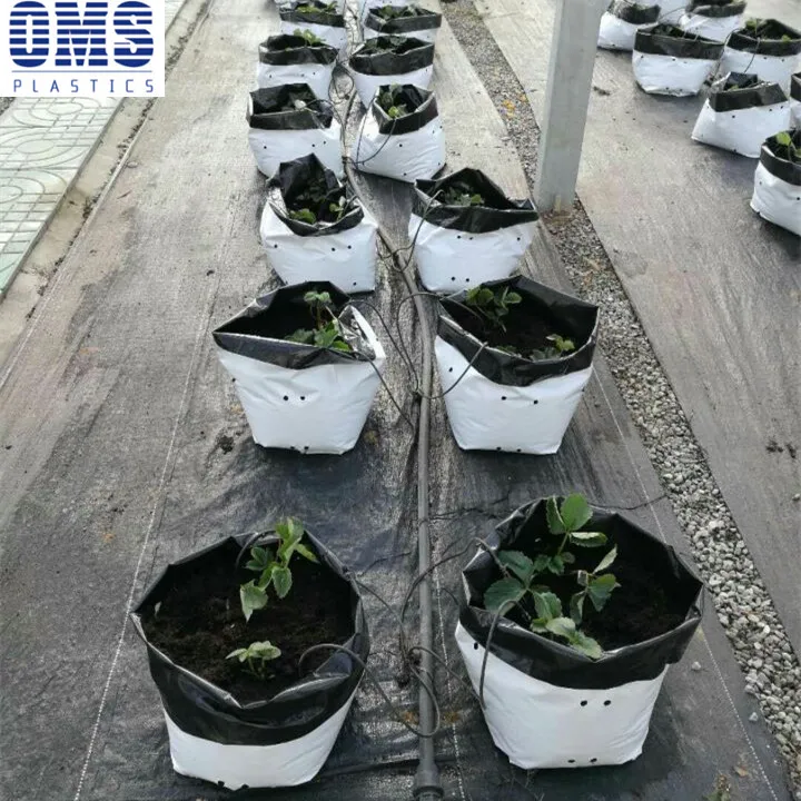 Wholesale Nursery Poly Plastic Plant Bag For Ghana Buy Nursery Poly