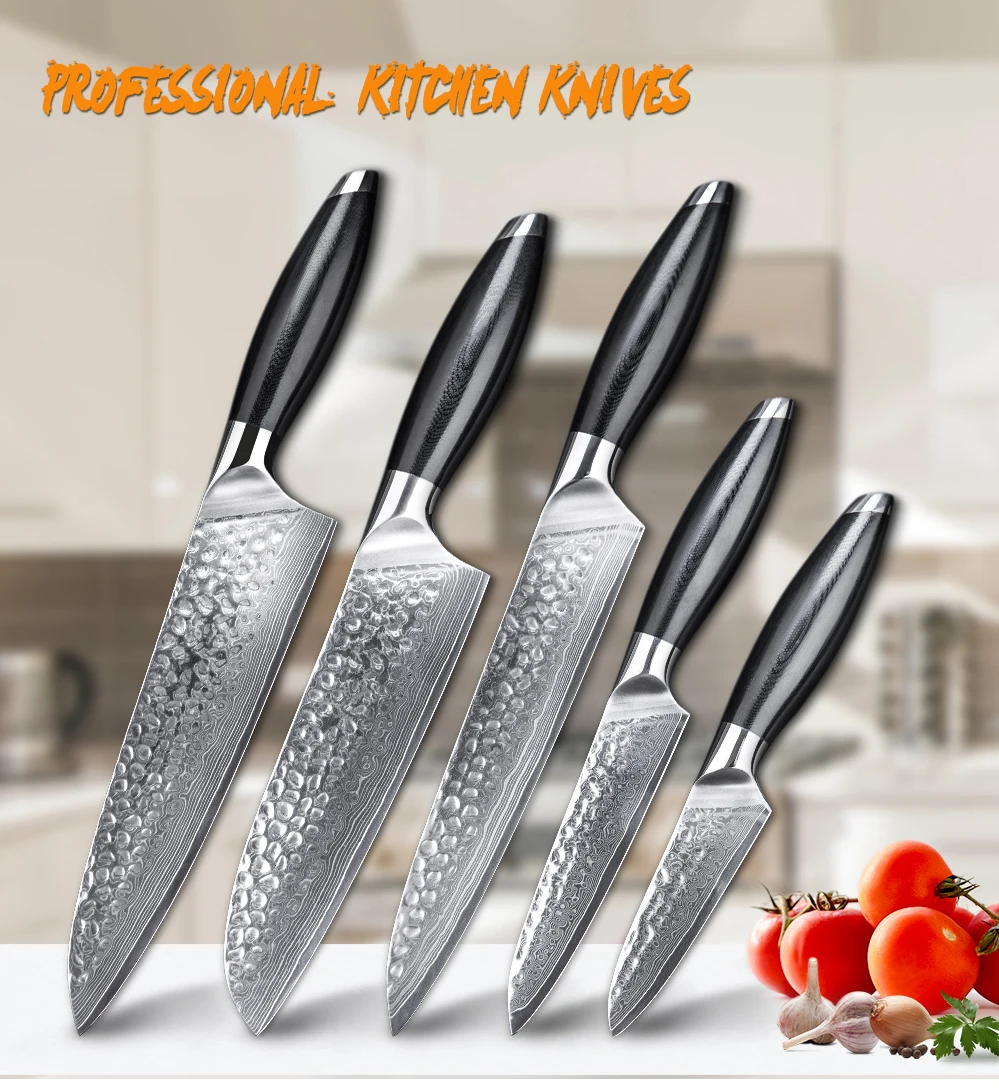 Professional Japanese 67 Layers Damascus Steel Kitchen Knife Set