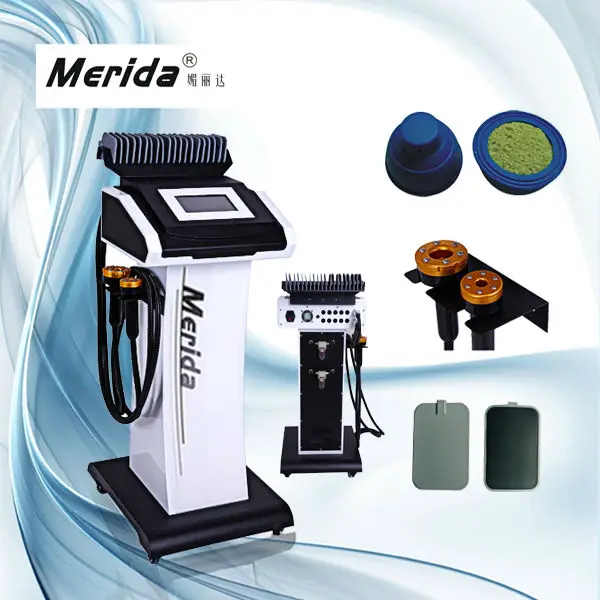 Powerful Bio Acupuncture Electrical Stimulation Machine Buy