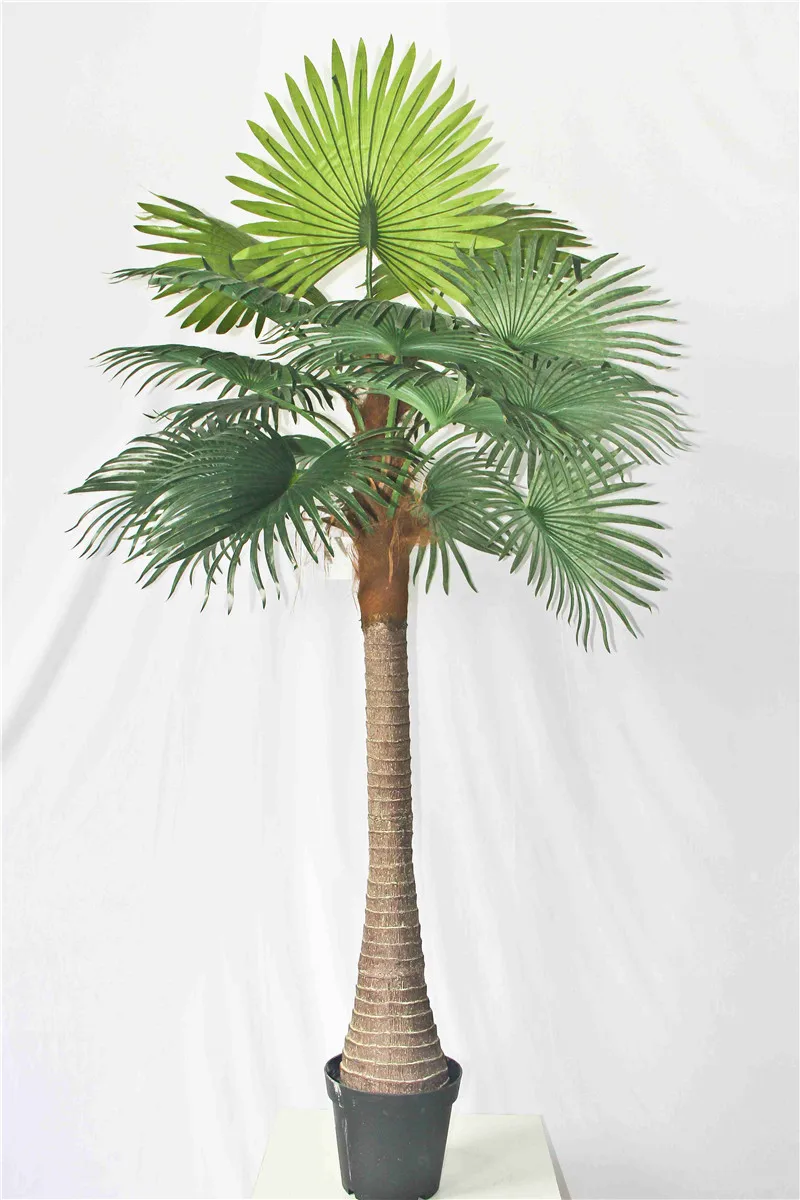 Mini Palm Tree Buy Bonsai Plastic Tree,Date Palm Trees,Artificial