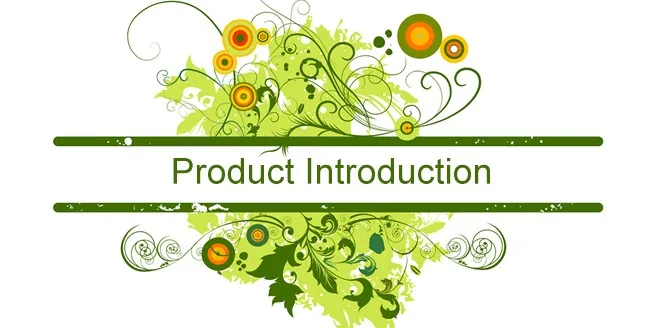 Product Introduction.jpg