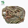 Living Green Lugworm Fishing Bait Living Sandworm Fishing Lure Nereis