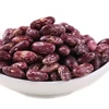 Hot selling wholesale purple speckled kidney beans Competitive prices