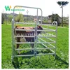 CE certificate N style 12ft farm iron gate