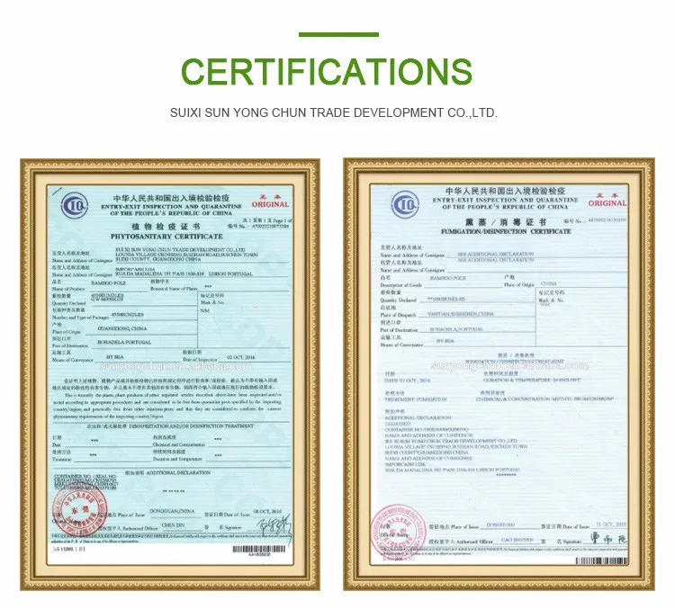 PVC Coated Color Bamboo Cane Flower Stick