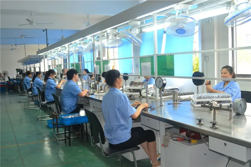 2" Natural Gas Pressure Gauge Digital Buy Pressure Gauge,Natural Gas