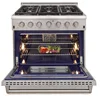 Hyxion 36" Freestanding Professional Style Kitchen Gas Range propane range