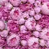 vertical backdrop artificial rose and peony flower wall