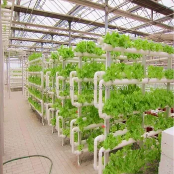 Indoor Dft Vertical Hydroponics Growing Systems Plastic 