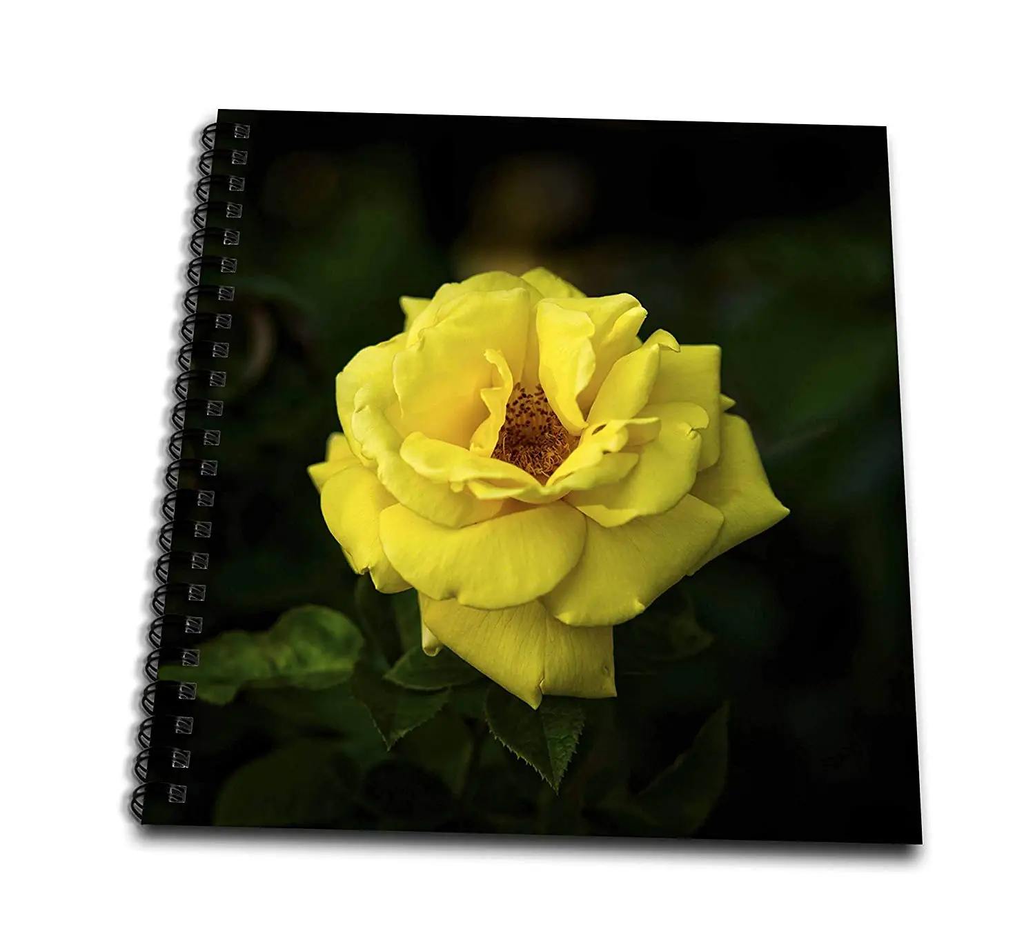 Sunny Day in The Garden Closeup View T-Shirts Flowers 3dRose Alexis Photography Pink Decorative Flowers