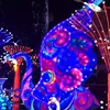 OAL6318 World Light Lantern Show Lighting Flower Lantern