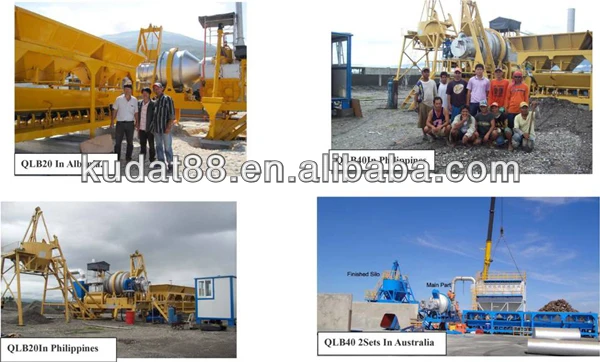 Plant in site.jpg