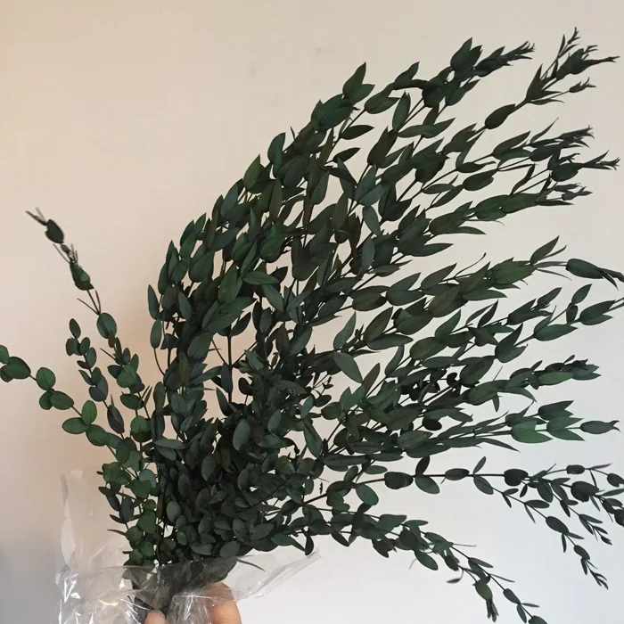 Natural Dried Eucalyptus Branches With Long Lasting Leaves Buy