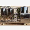 100L mico brewing equipment with temperature controlled fermentation tank/beer brewing equipment