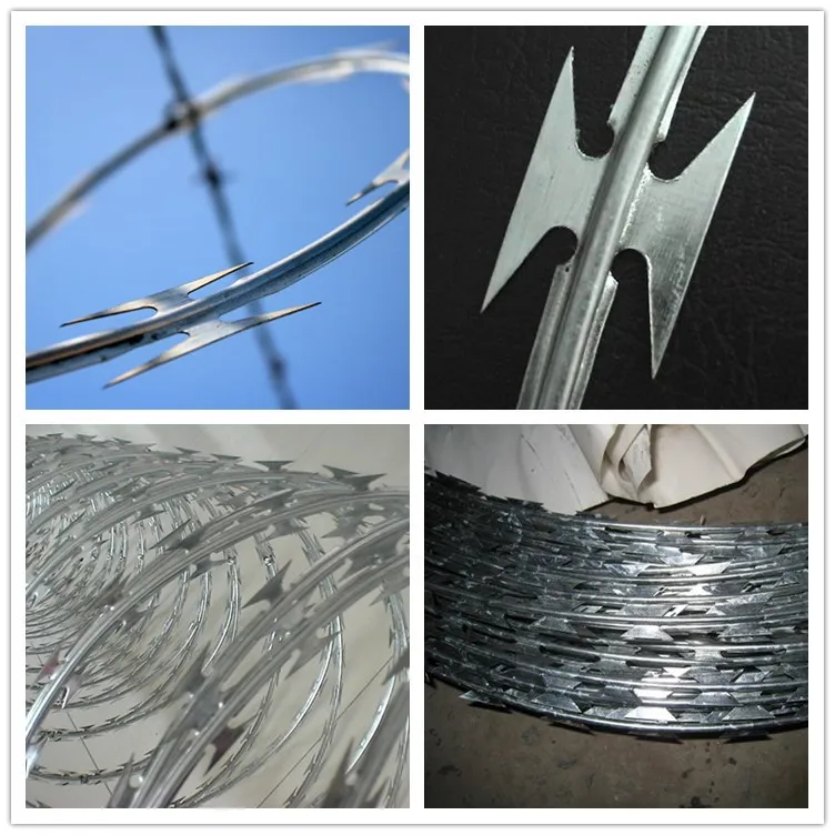 Factory Price Concertina Wire 980mm Buy Concertina Wire 980mm