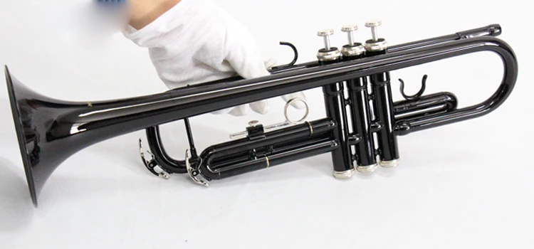 Труба бесшовная 18*5. Известные трубы. Известные трубы. Труба духовой инструмент для презентации. Шлифованная нержавейка труба.