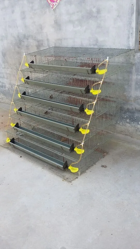 Supply Metal Quail Cages,Quail Cage For Laying Hen For Poultry Farm Hj