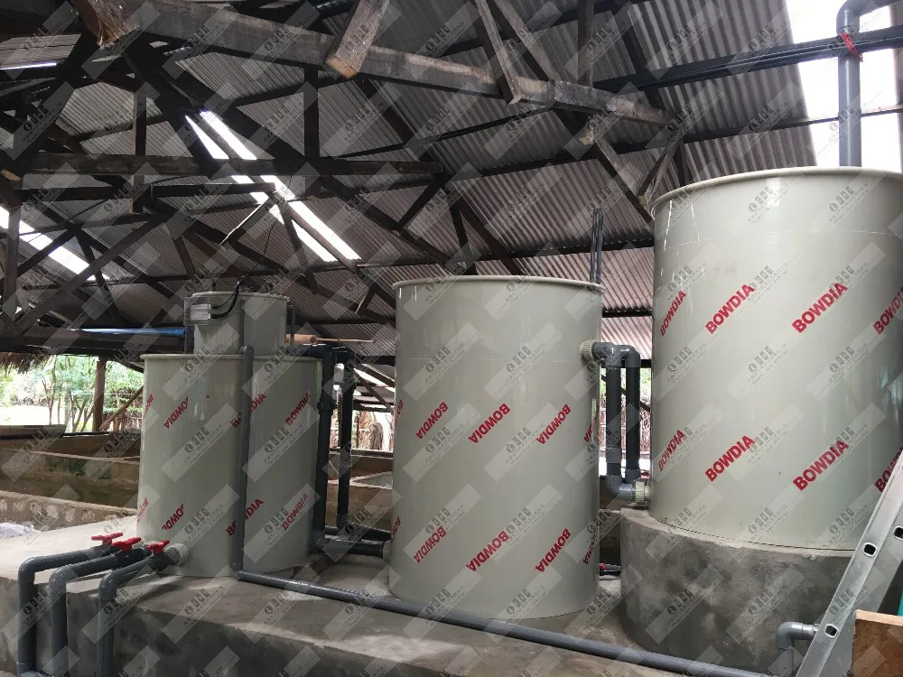 肯尼亚室内 ras 泥蟹养殖设备