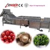 500kg/h Berry Bubble Washing Machine|Air Bubble Washer for Soft Fruit