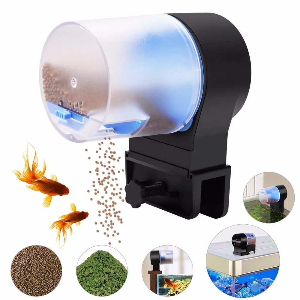 fish feeder aquarium