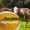 China alibaba direct buy from manufacturer corn protein meal from suppliers in china
