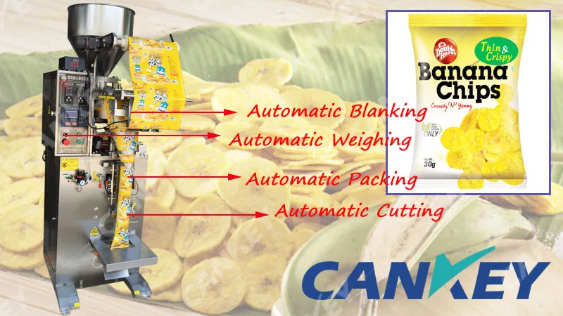 Introduction of Potato Chip Packing Machine