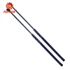 TOPASIA Hood Lift Supports Shocks Struts Gas Springs for Chrysler 300M 4257 SG314021