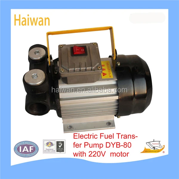 12V DC 155W Electric Fuel Transfer Pump w/ Hose Nozzle and Mechanical fuel meter 