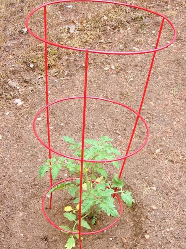 48in Powder Coated Tomato Support Cage,Tomato Cages Buy Plant Support