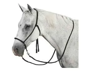 Buy Mustang Nylon Bitless Bridle W Reins Black In Cheap Price On M