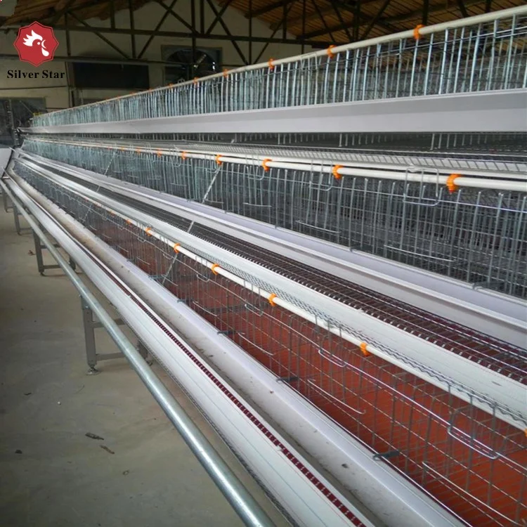 chicken cages for egg layers.jpg