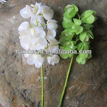 Promocao De Orquidea Negra Compras Online De Orquidea Negra Promocionais Portuguese Alibaba Com